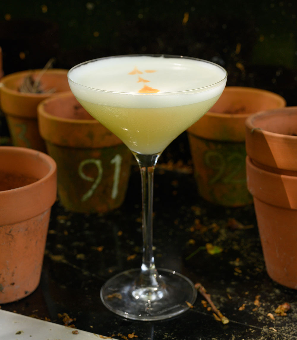 Yuzu Sour